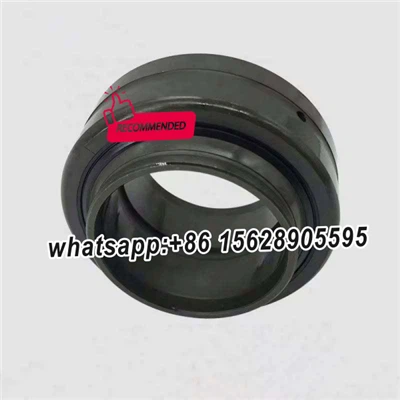 GE200-DO-2RS INA
